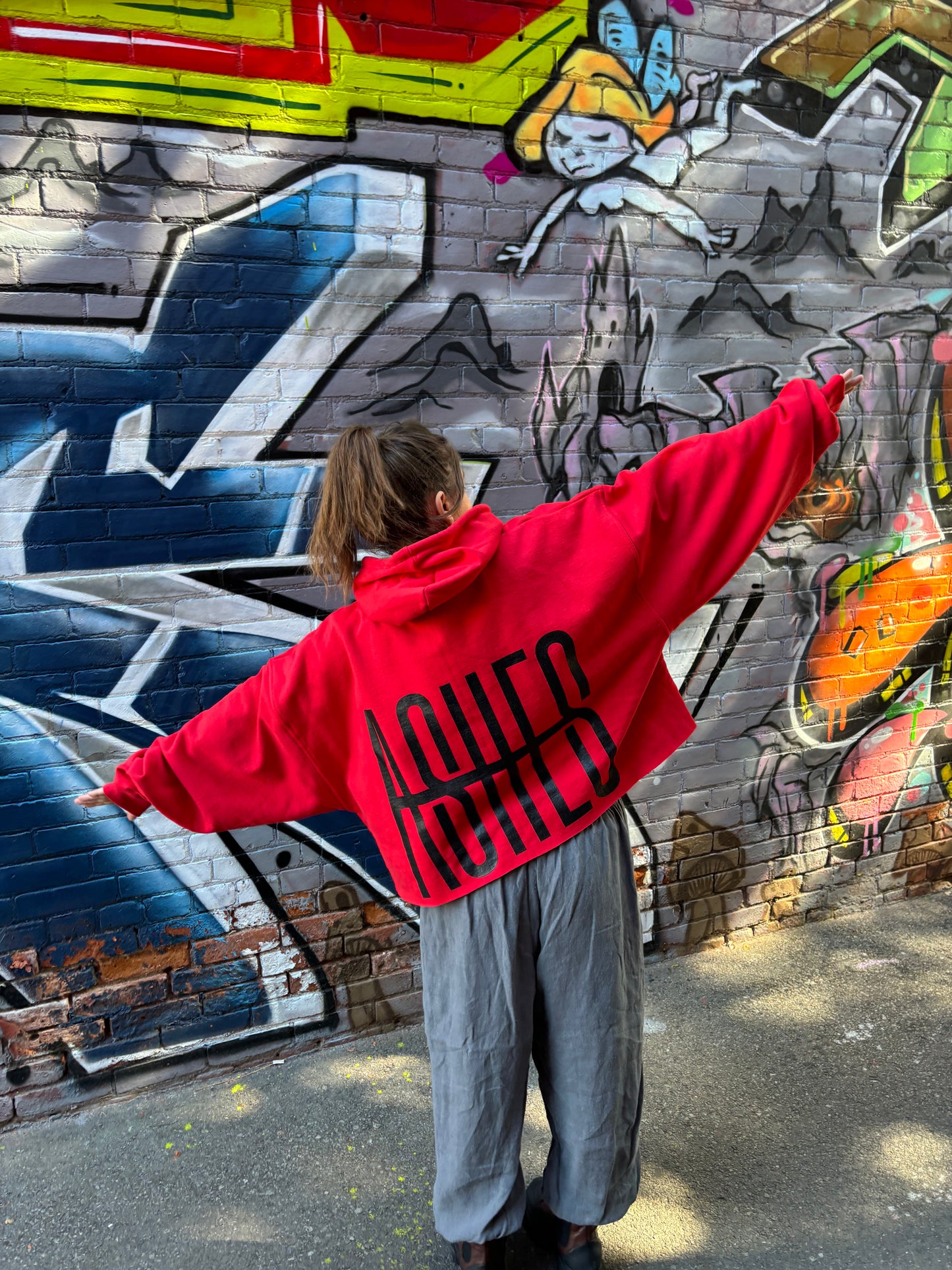 EMBOLDENED ASHES CROPPED HOODIE - RED