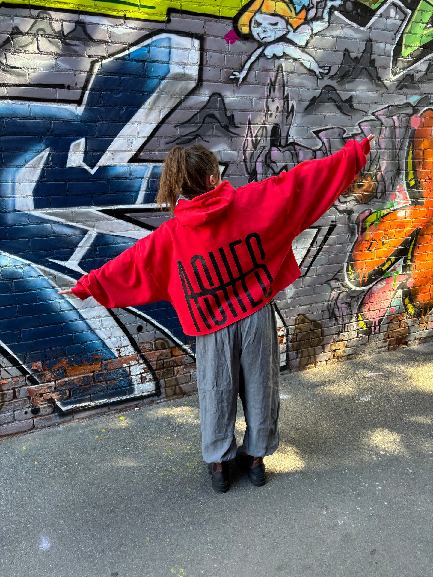 EMBOLDENED ASHES CROPPED HOODIE - RED