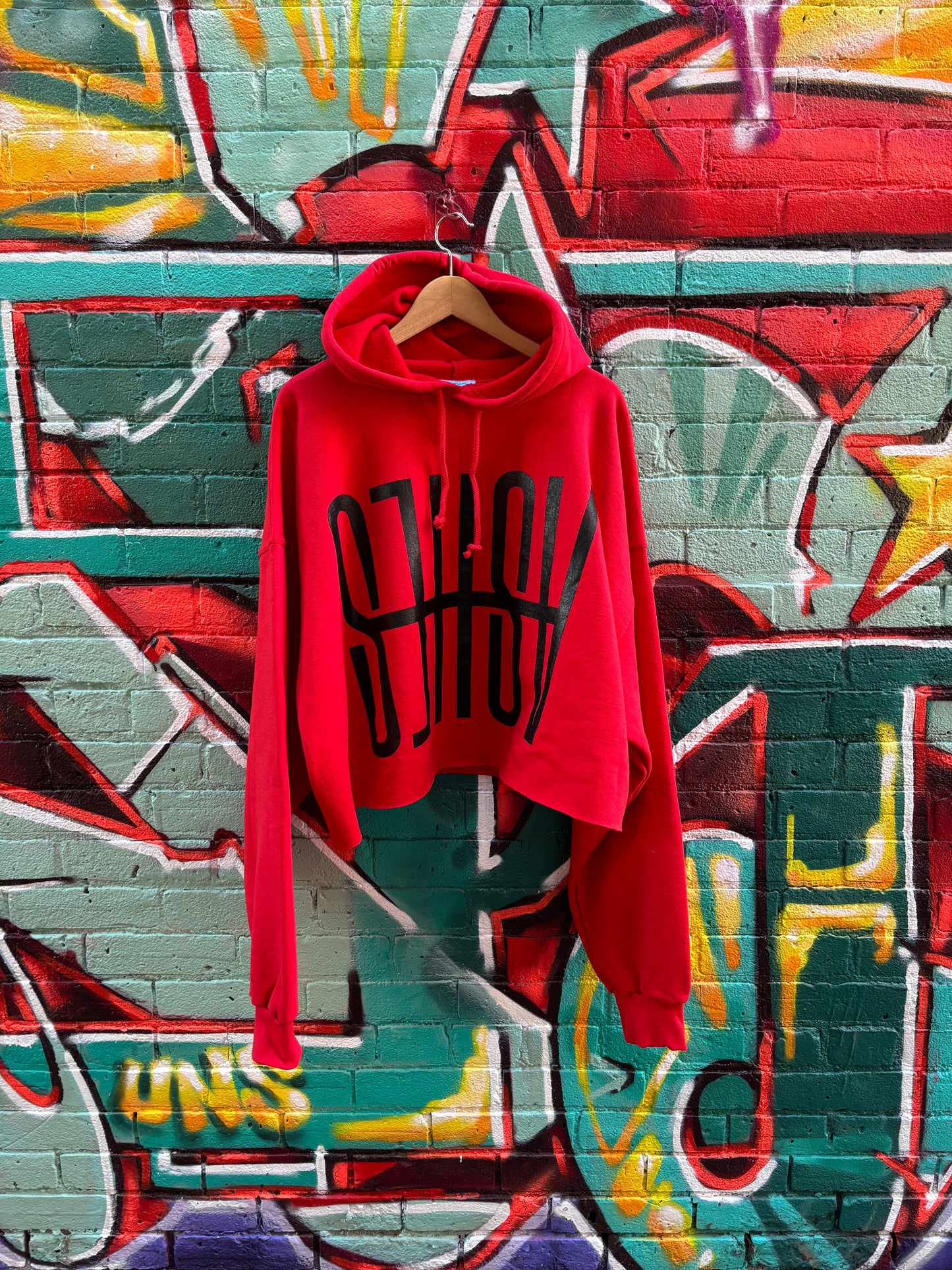 EMBOLDENED ASHES CROPPED HOODIE - RED