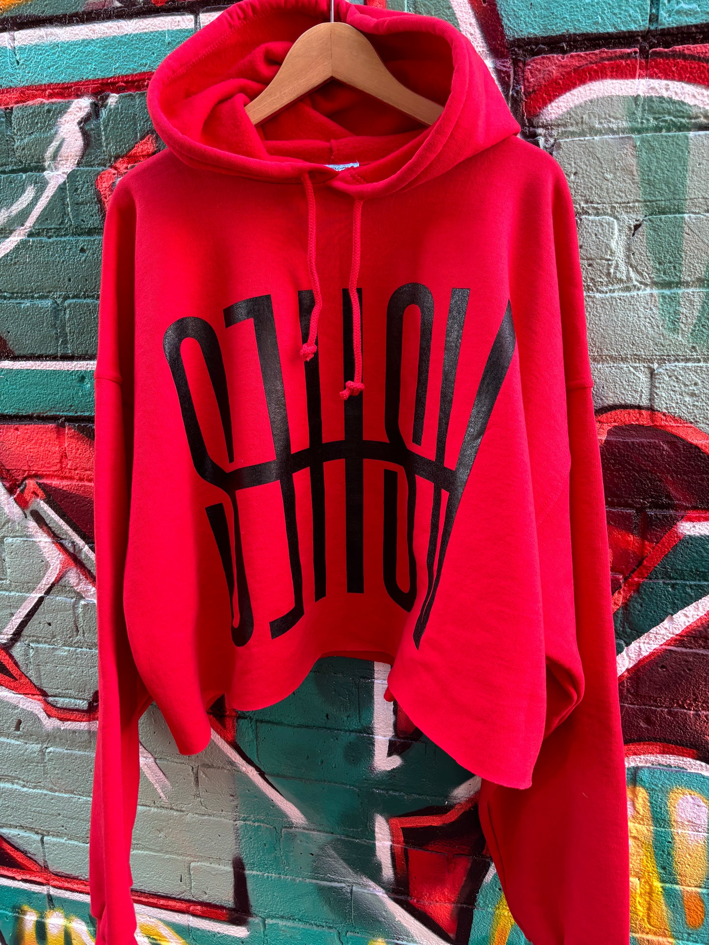 EMBOLDENED ASHES CROPPED HOODIE - RED