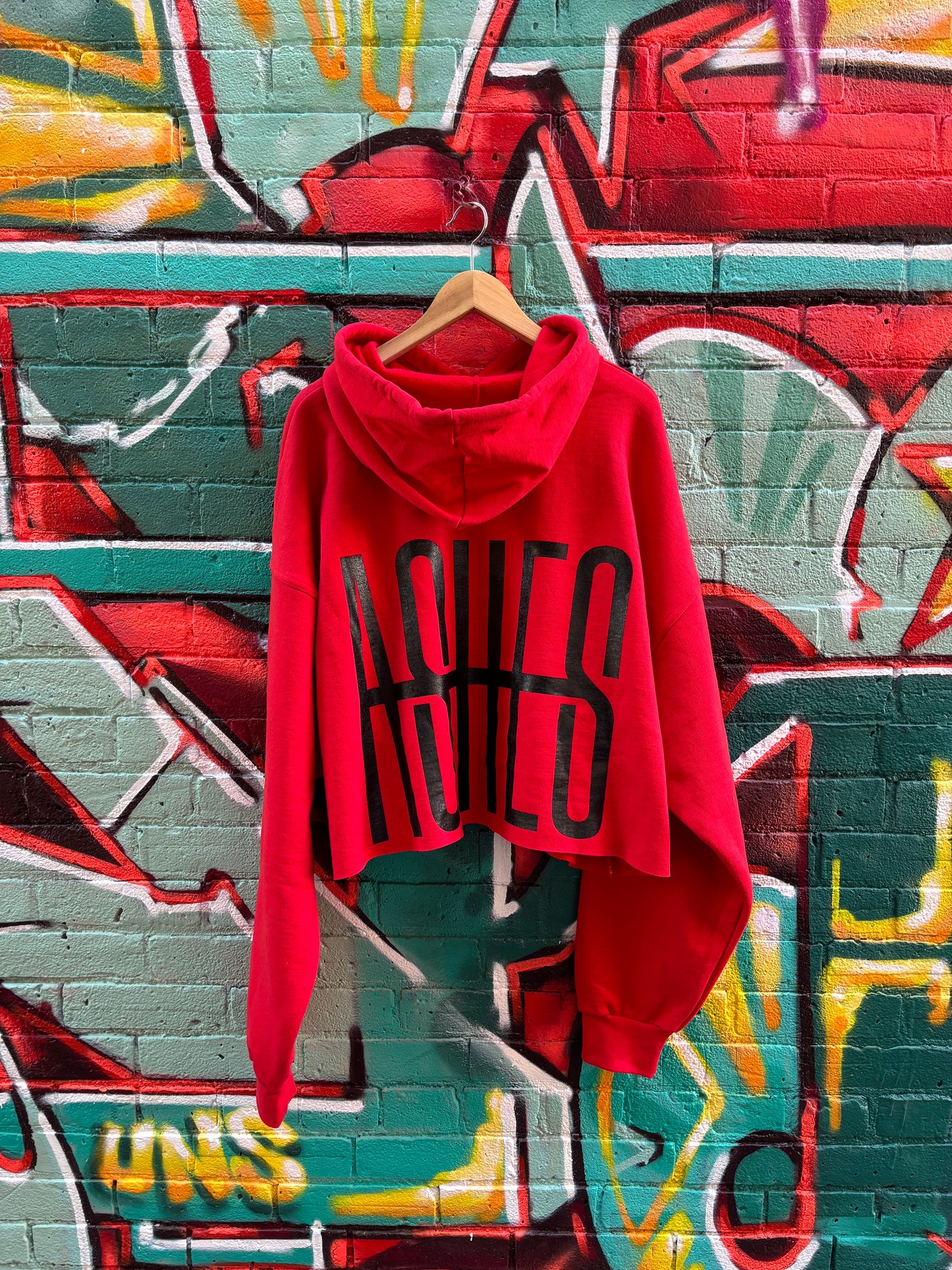 EMBOLDENED ASHES CROPPED HOODIE - RED