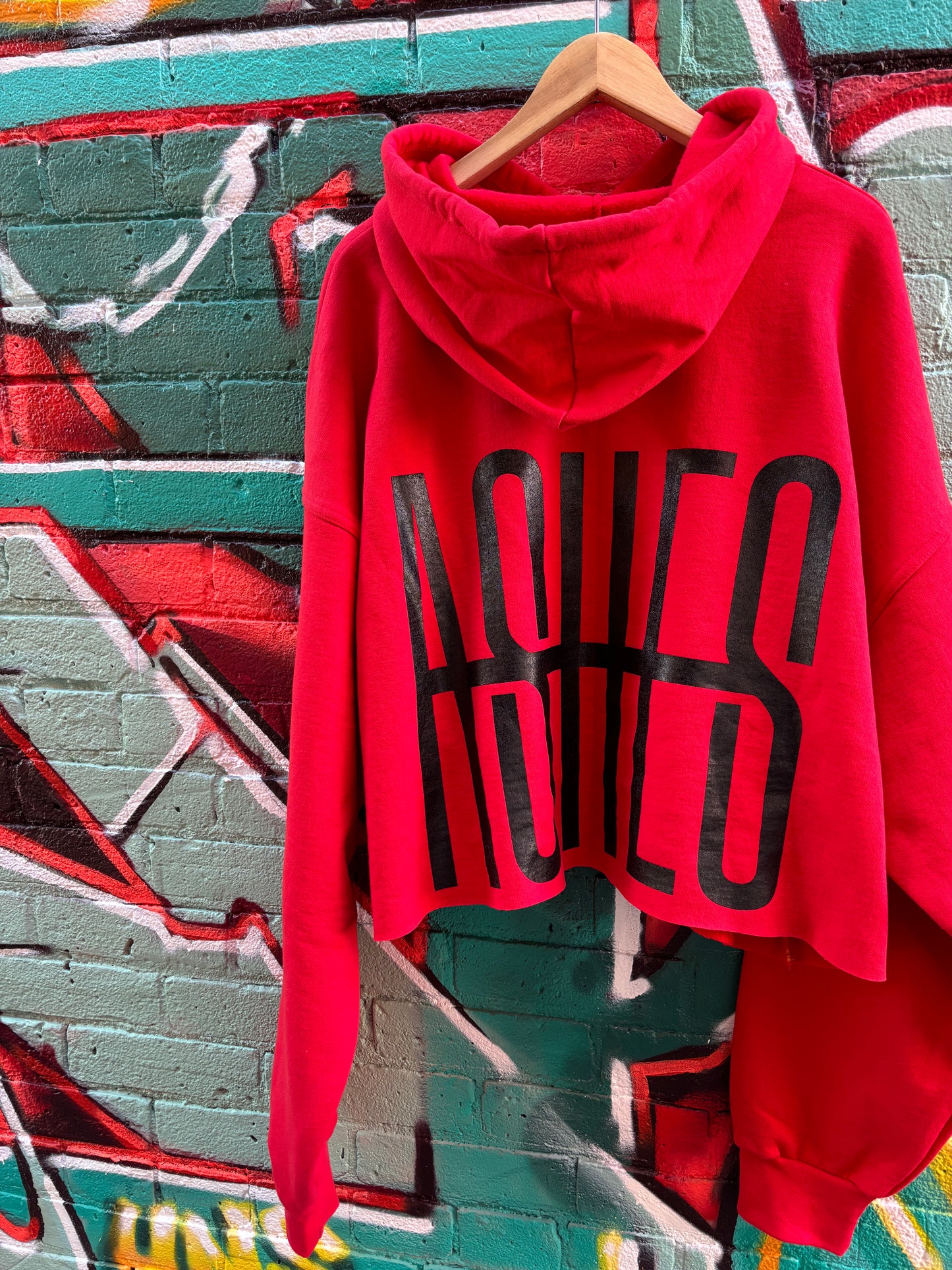EMBOLDENED ASHES CROPPED HOODIE - RED
